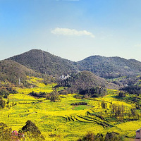 ������ƽ�Ͳ˻�����ʤ