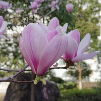 ��̨�ݴ��⡿���ߵķ���