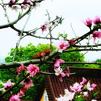 ��̨�ݴ��⡿��������