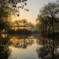 ̨��ֲ��԰��ӣ���Ͳ˻�