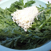 �������ʲô����˳����