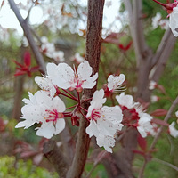 ��̨�ݴ��⡿�Ͳ˻����һ�����