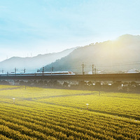 ��̨�ݴ��⡿ʻ�򴺹�