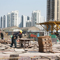 ����12���̨࣡������ԨСѧ������������Ͷ��