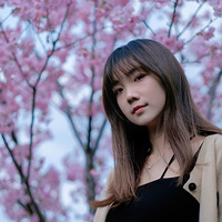 ��̨�ݴ��⡿ֲ��԰������