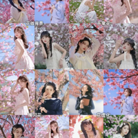첻֪ôգ黨дֵӵУԼĴƬ