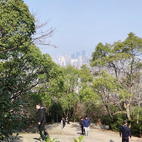 ����Ӱ2023����̨�ݡ����Ϸ�ɽ-20230305-����