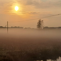 ���ºδ�������