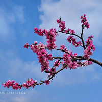 �����һ���俪