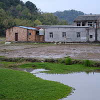 ����ַ��