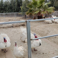 ��������ޡ��꿨�������ţ�����԰����