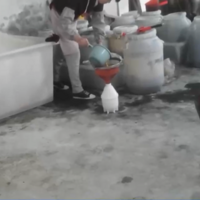 �������ǧ������������أ���ʱ���ڻ������!