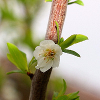 �������࣬���ⰻȻ���ٻ����ޣ���������