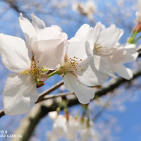 �������������ۣ�����̺����Ǵ�