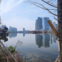 ����Ӱ2023����̨�ݡ���ˮ�ƾ�-20230326-����