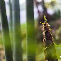 ����ϵĴ��죬��һ�����ʵ���