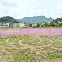 2023μǡӢ