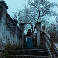 �����ɽ���滨����