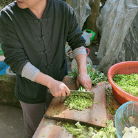 �����ӣ�ÿ��һ�Σ���ζ��������