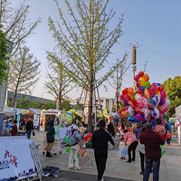 �����´��ޡ��ŷ幫԰������