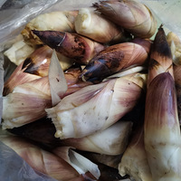 �������ʲô��������