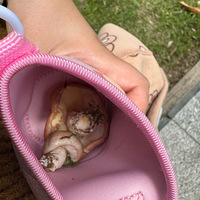 �����´��ޡ��ͺϹ�԰�����棬���������ܶ�����