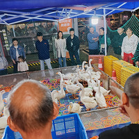 �����´��ޡ����Ҵ�����ʳ��