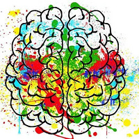 ��6���㣬ÿһ�ڶ���DHA�����Ӷ໻�ԣ�ͷ�Դ��������屶����