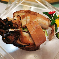 Ѱζ̨��ح��ʳ����ӳ��̨�ݵ��˼��̻�