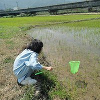 ��5�´��ޡ�����Ϻ