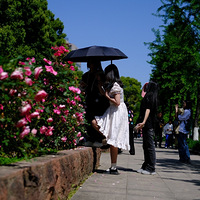 ���ĵ������ʻ�ռ��һ����һ����������