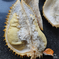 �������ʲô���Ը�����������