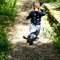 ��������������棬����һ��ʮ���Ϊʲô��