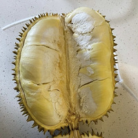 ����о����˶��ڳ�����������������ѡ������֪����