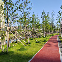 ��5�´��ޡ���ʡǮ����һ���ڣ�����