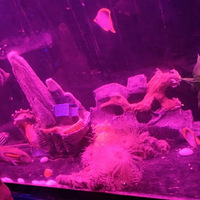 �����´��ޡ����ӳǺ����