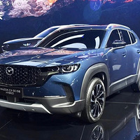 Ԥ15.98ԴCX-50525