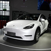 ȫT0P 10ͳ¯ 2Model Y