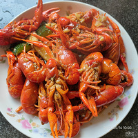 �������ʲô����ĩ�ſ��ԳԵ�С��Ϻ