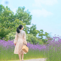 ��ɫ����