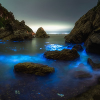 �������ĵ���������