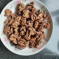 �������ʲô�����κ�����