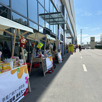 �����´��ޡ���һ�βμ���԰��