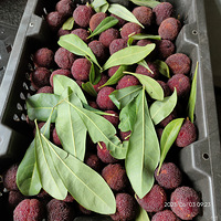 �������ʲô����÷������