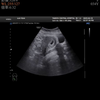 ��һ���ֹ���̬�ȶ����и���2023�����ռǡ�