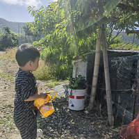 �����Ĵ��ޡ�һĶ���ֵصĿ���