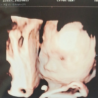 ����Ŀɰ�������������2023�����ռǣ�