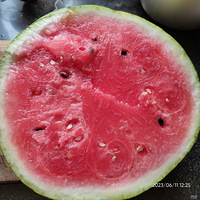 �������ʲô���ԹϳԹ�