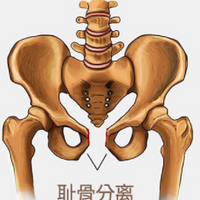 ���ڳܹ�ʹֻ�ܸɰ���ǧ���ǿ�̣�6�������������ɻ��⣡