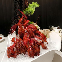 �������ʲô����Ϻ��